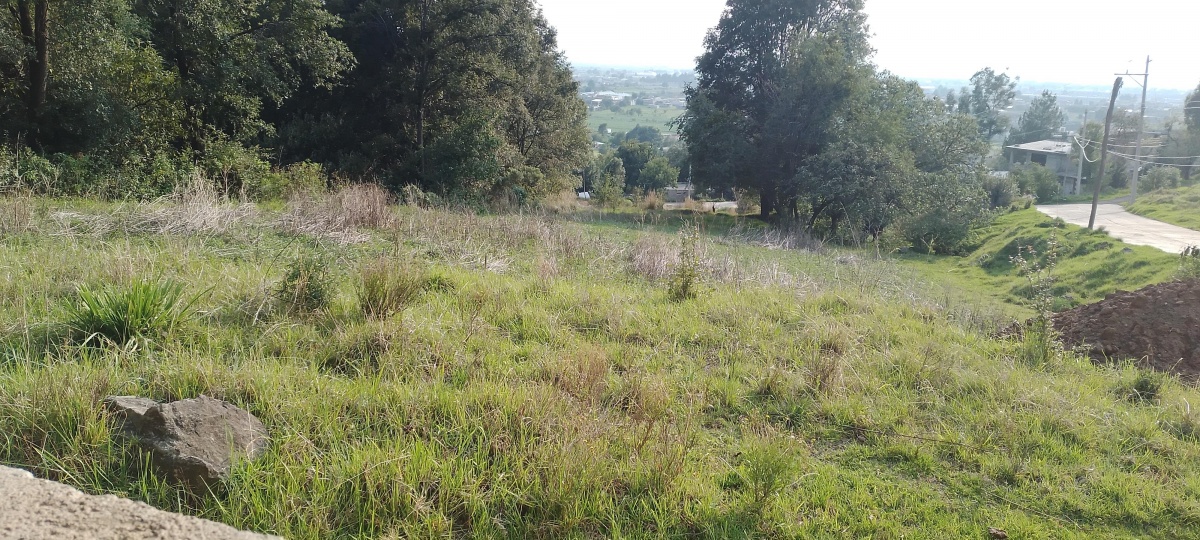 Venta Terreno / Lote Agrícola Analco - Lerma