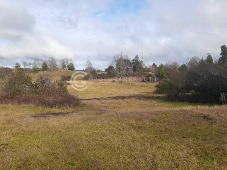 Venta Terreno Entre lagos - Los Lagos