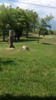Venta Terreno / Lote Rancho Escondido - Montemorelos