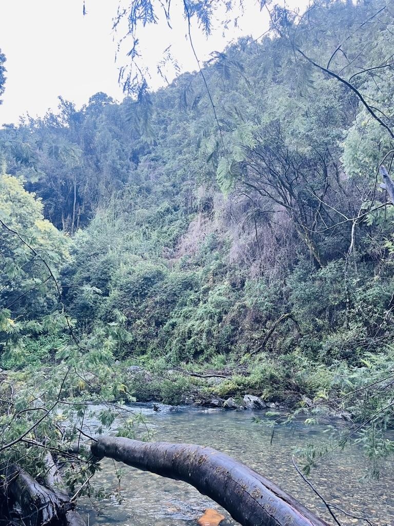 Venta Terreno Cobquecura - Ñuble