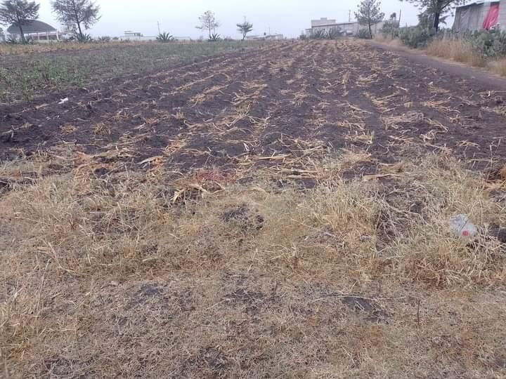Venta Terreno / Lote Ignacio Zaragoza (Zaragoza) - Soyaniquilpan de Juárez