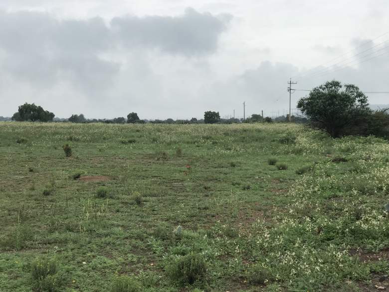 Venta Terreno / Lote Pachuca de Soto - Hidalgo