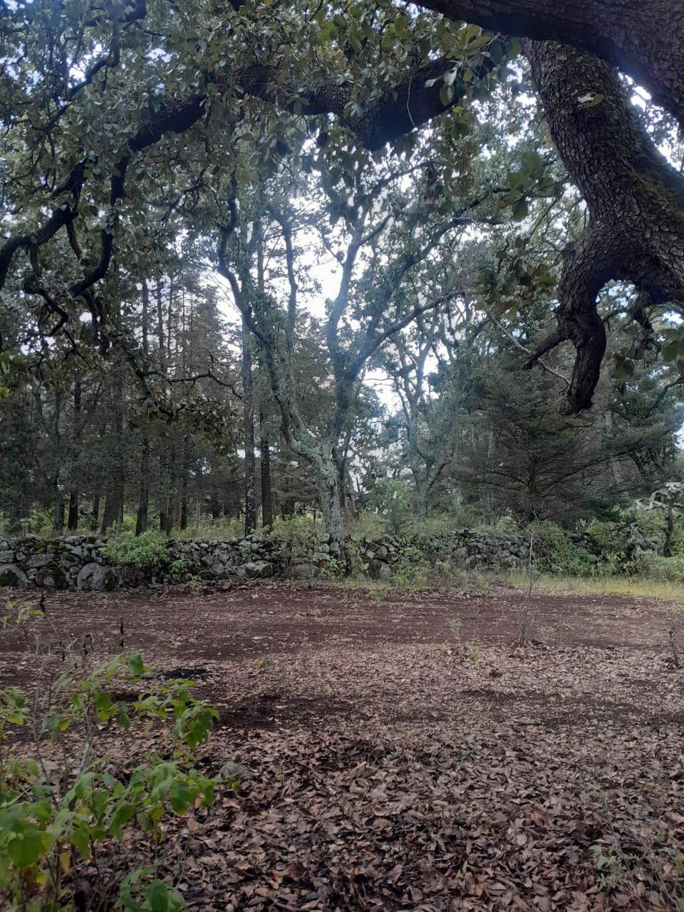 Venta Terreno / Lote La Atarjea - Amealco de Bonfil