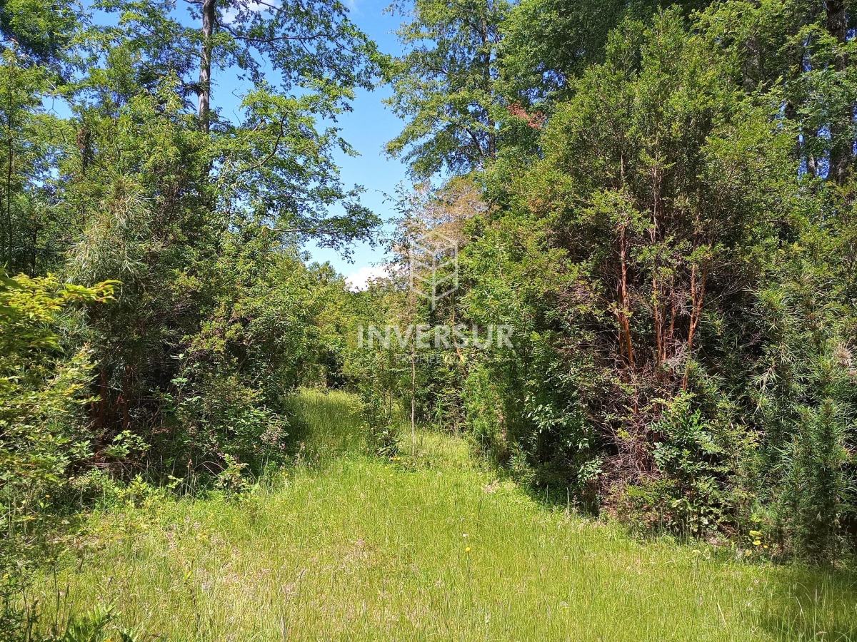 Venta Terreno Villarrica - La Araucanía
