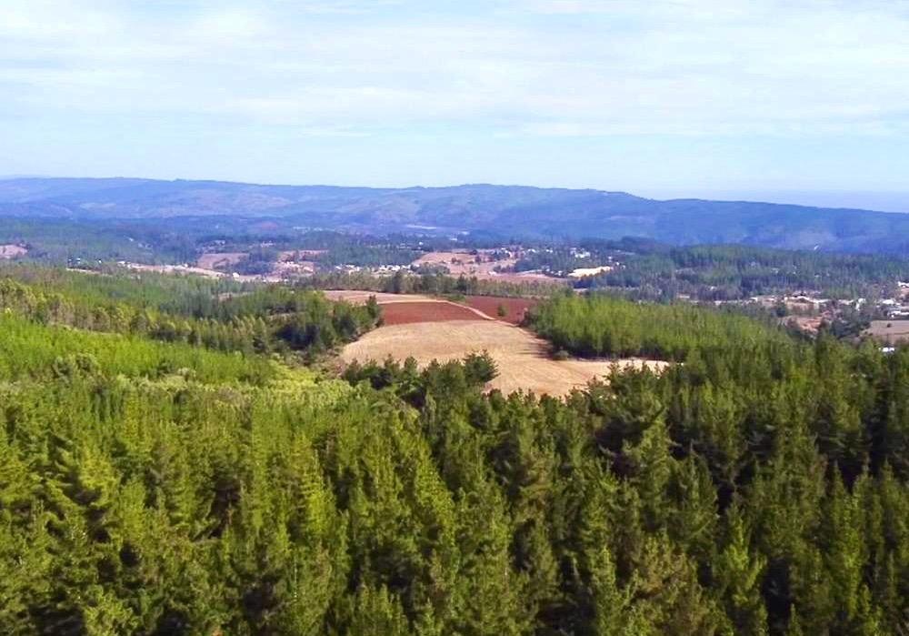 Venta Terreno Cahuil - O'Higgins