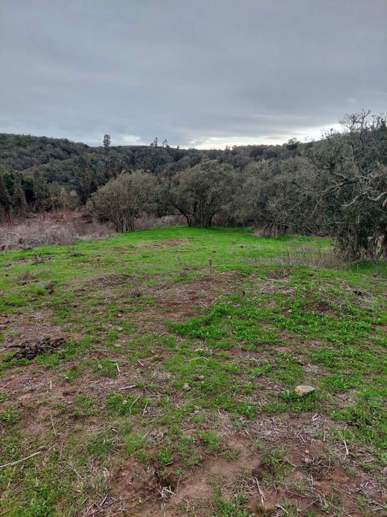 Venta Terreno Santo Domingo - Valparaíso