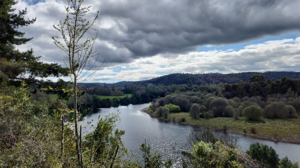 Venta Parcela Valdivia - Los Ríos