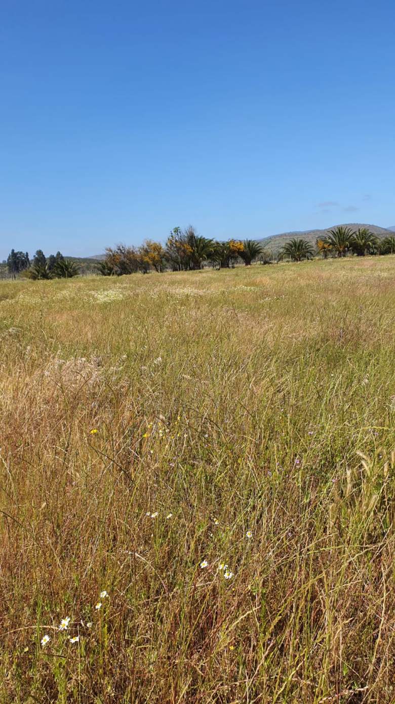 Venta Terreno Chorombo - Región Metropolitana