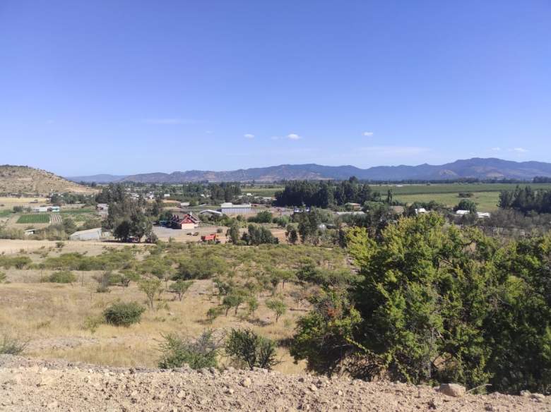 Venta Terreno Hualañé - Maule