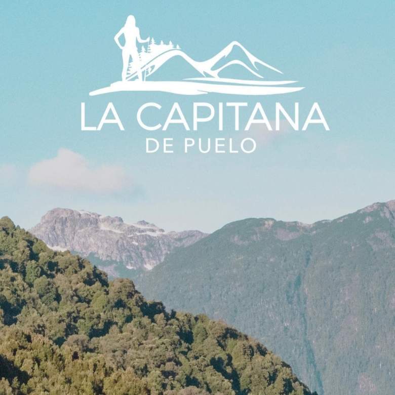 Venta Terreno Río Puelo - Los Lagos