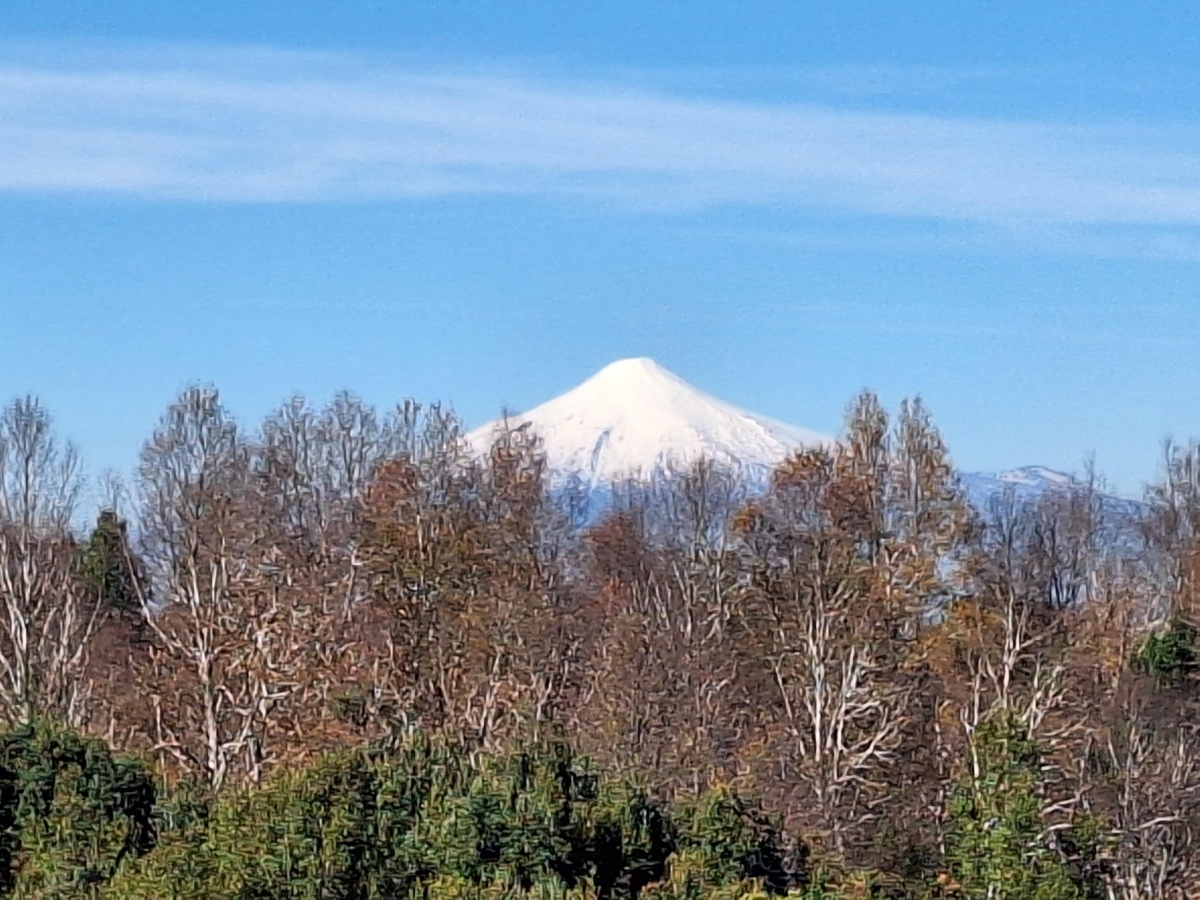 Venta Parcela Villarrica - La Araucanía