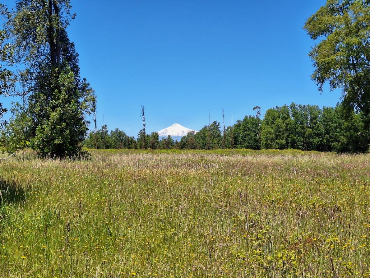Venta Parcela Villarrica - La Araucanía