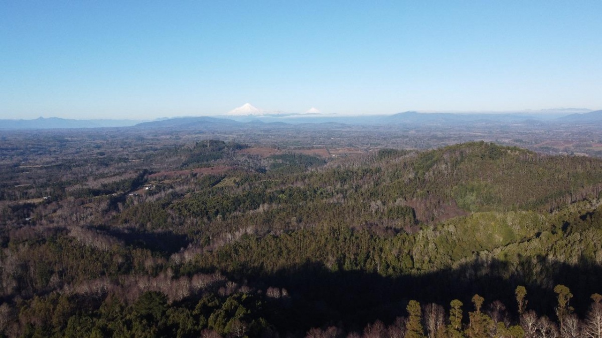 Venta Terreno Loncoche - La Araucanía