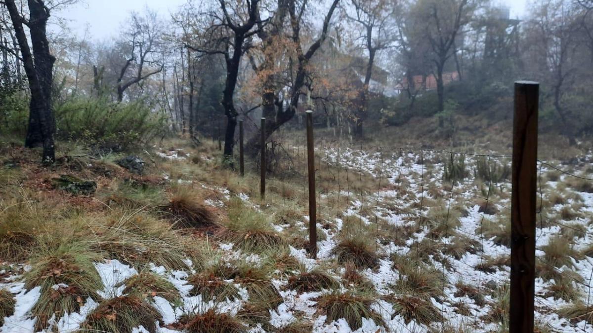 Venta Terreno Recinto - Ñuble