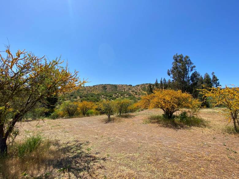 Venta Terreno Melipilla - Región Metropolitana