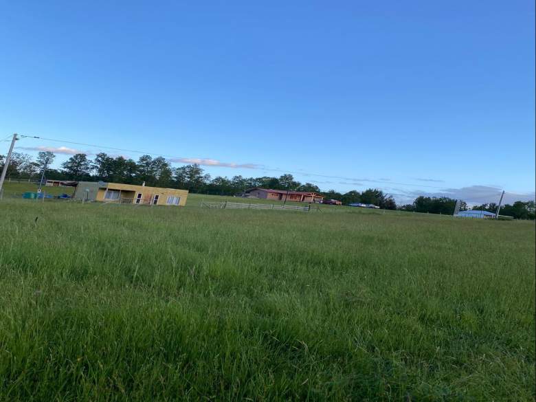 Venta Terreno Río negro - Los Lagos