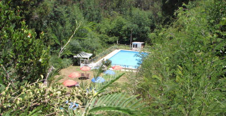 Venta Inversión Pelluhue - Maule