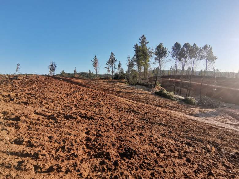 Venta Terreno Yumbel - Biobío