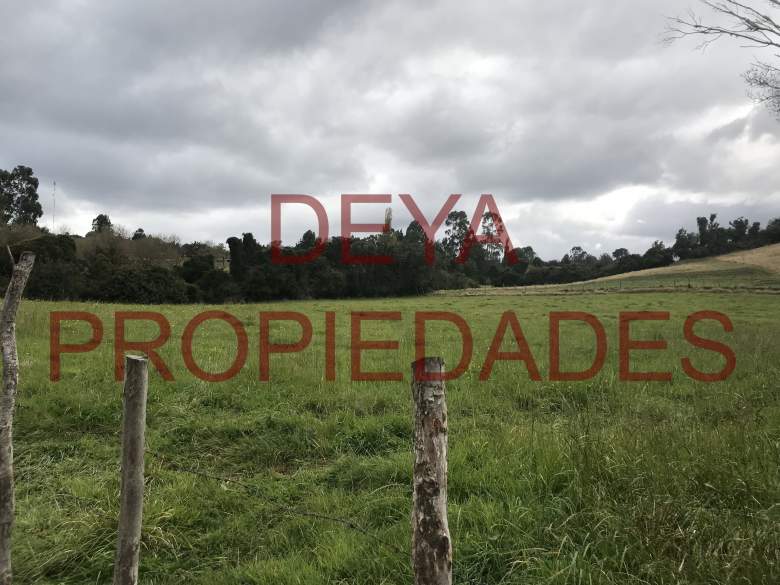 Venta Terreno Calbuco - Los Lagos