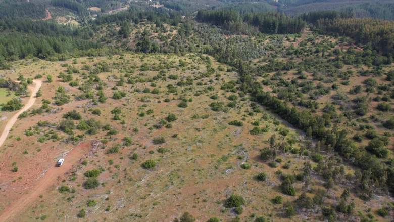 Venta Terreno Santa juana - Biobío