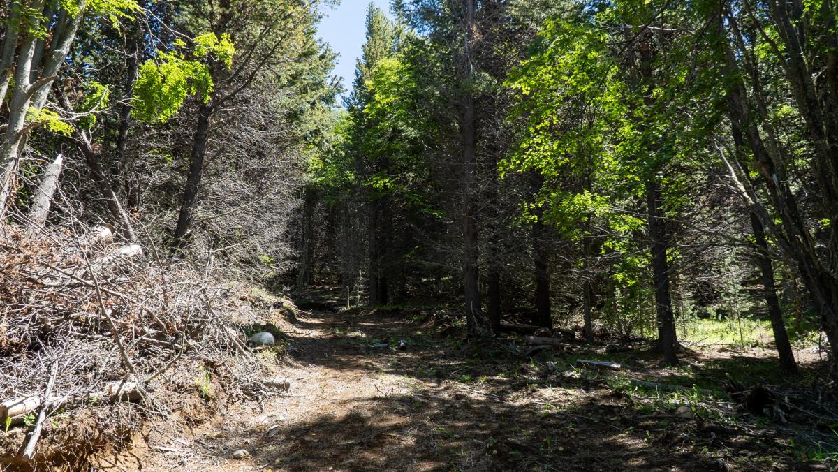 Venta Terreno Coyhaique - Aysén