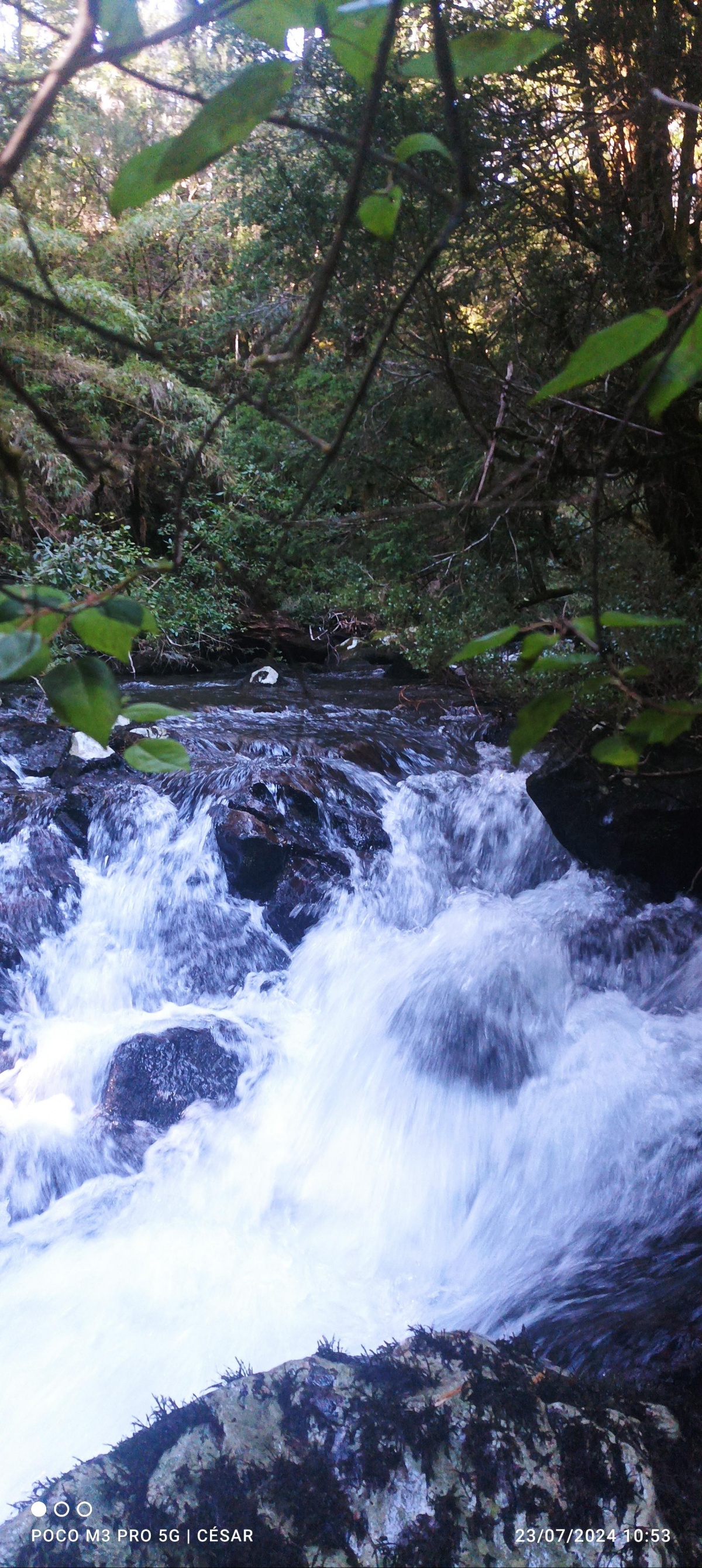Venta Agrícola Melipeuco - La Araucanía