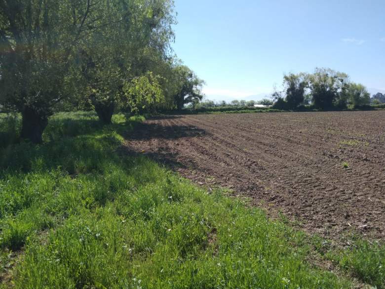 Venta Terreno Yerbas buenas - Maule