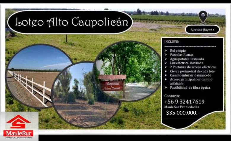 Venta Terreno Yerbas buenas - Maule