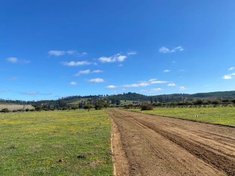 Venta Agrícola Vichuquén - Maule