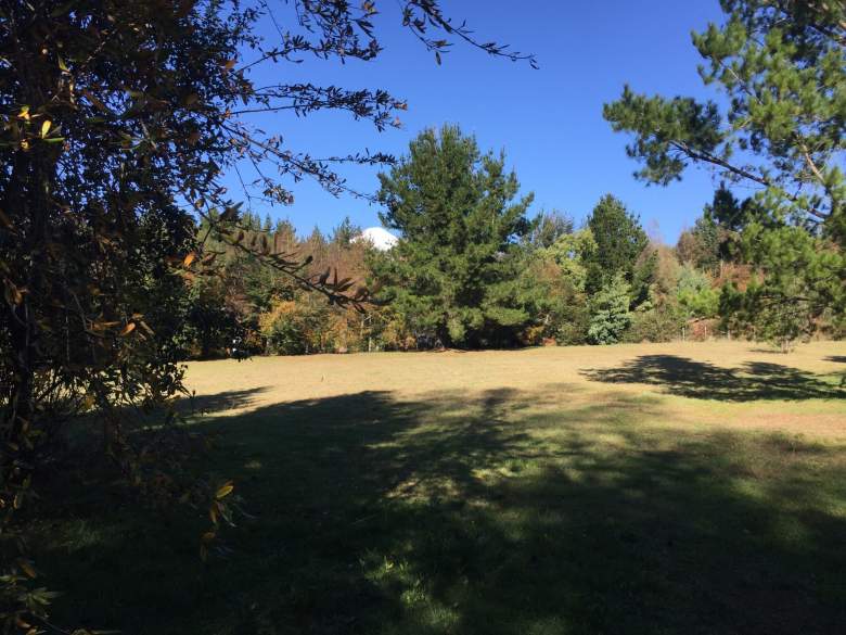 Venta Terreno Pucón - La Araucanía
