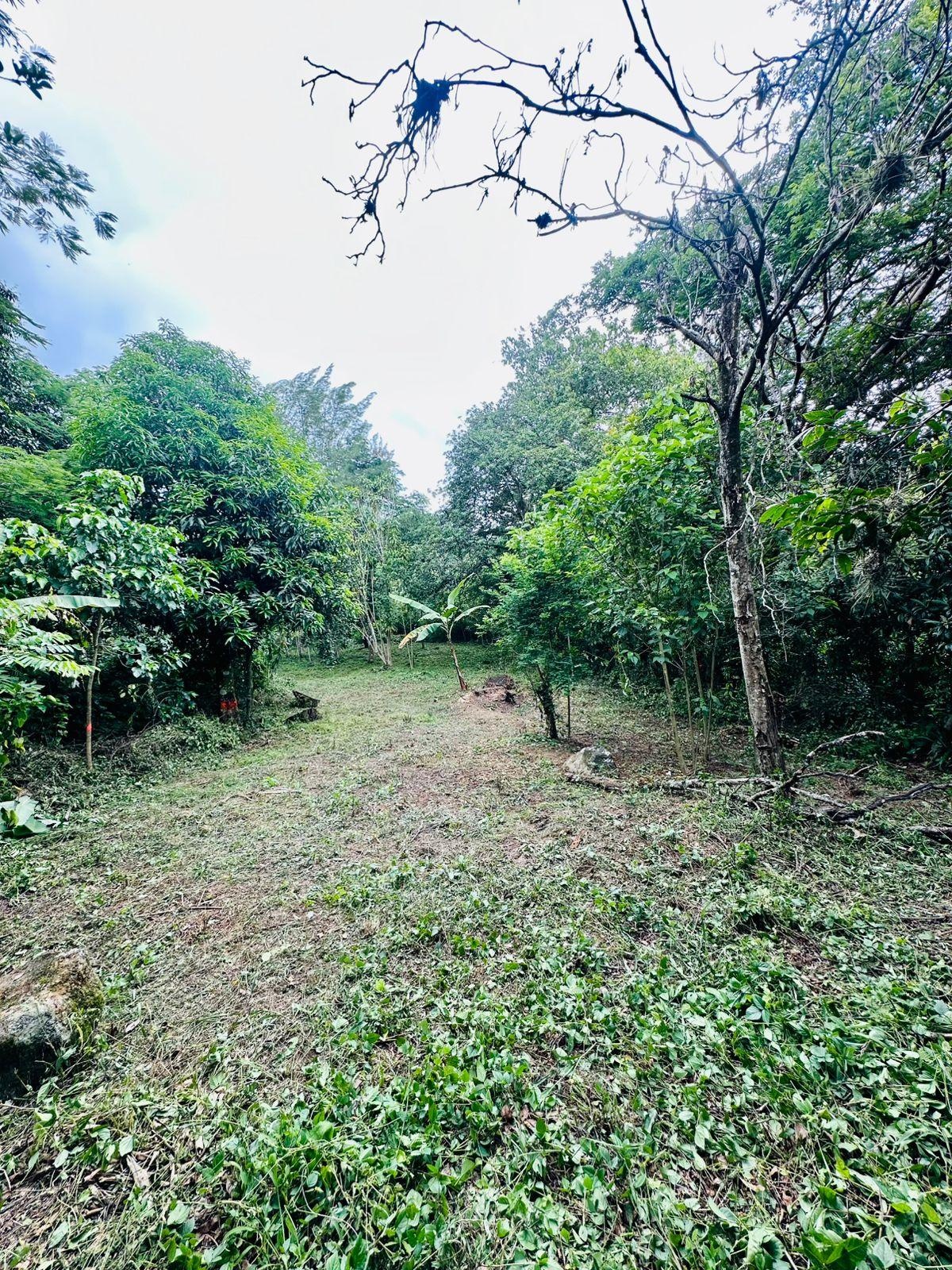 Venta Terreno / Lote Monte Blanco - Teocelo