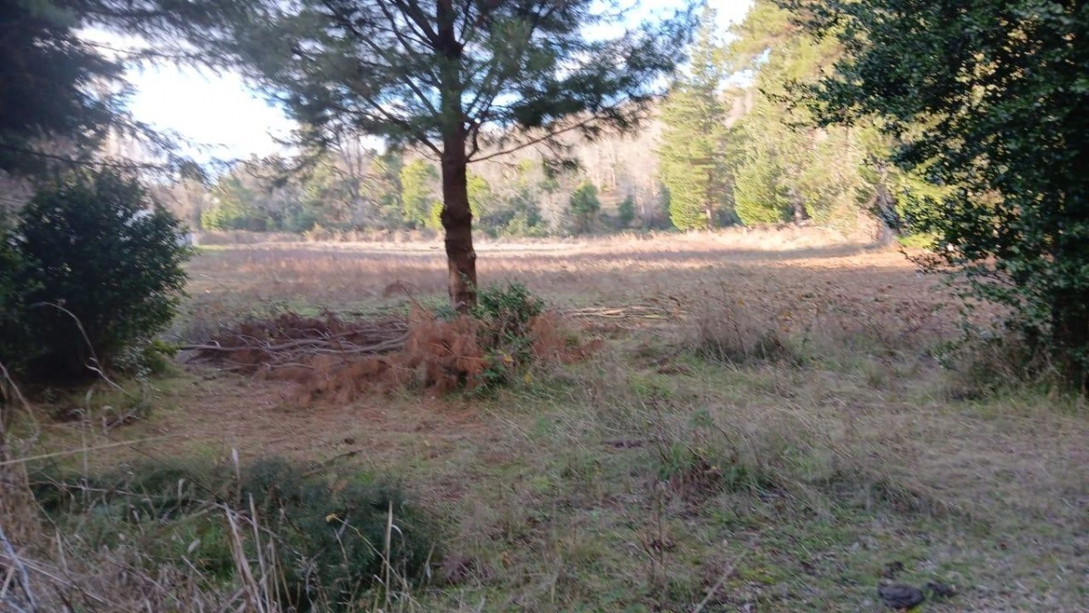 Venta Parcela Santa Juana - Biobío