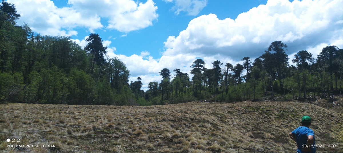 Venta Terreno Melipeuco - La Araucanía