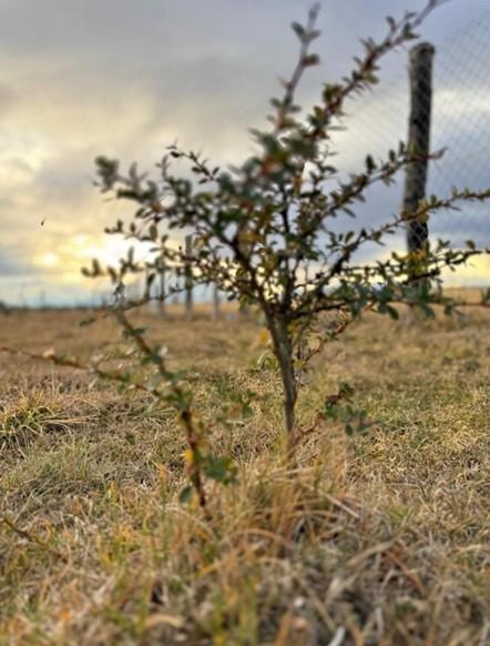 Venta Terreno Puerto Natales - Magallanes y la Antártica Chilena