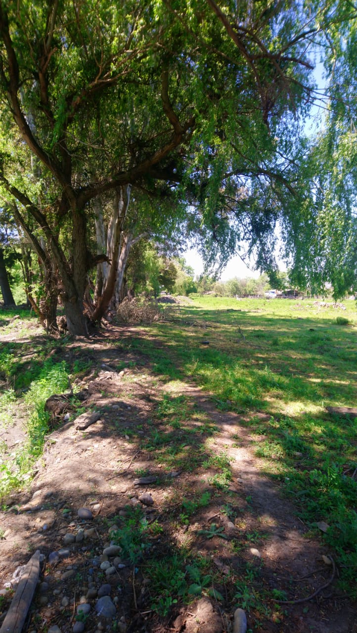 Venta Terreno Villa alegre - Maule