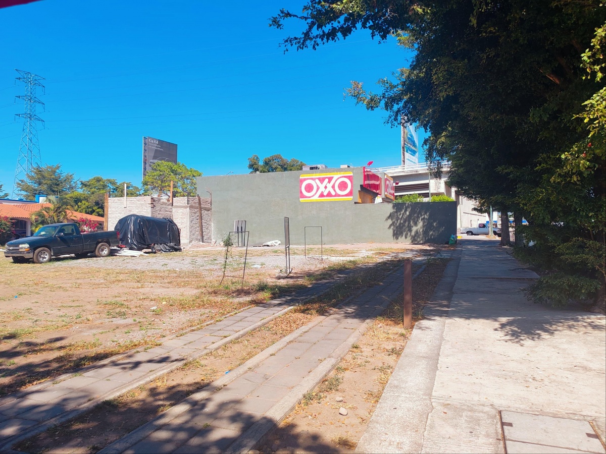 Renta Terreno / Lote Los Olivos - Villa de Álvarez
