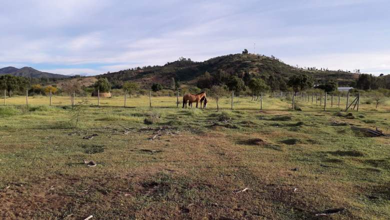 Venta Terreno Peralillo - O'Higgins