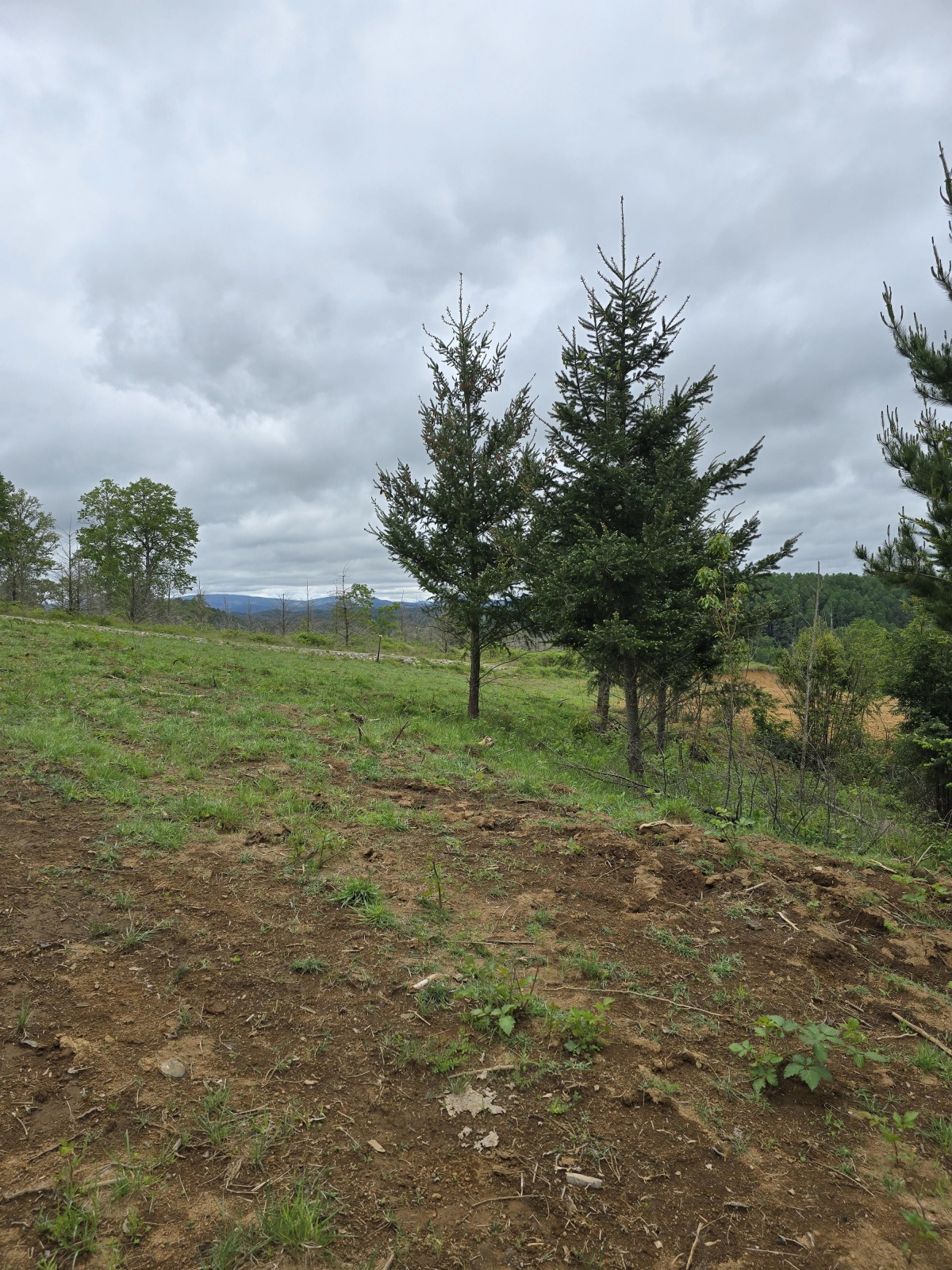 Venta Parcela Loncoche - La Araucanía