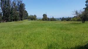 Venta Terreno Peralillo - O'Higgins