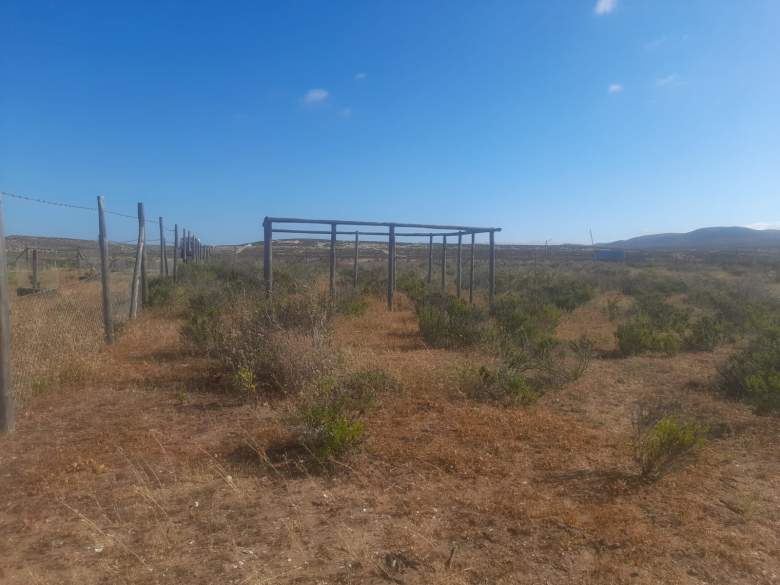 Venta Terreno Tongoy - Coquimbo
