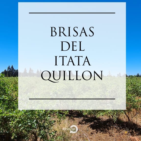 Venta Terreno Quillón - Ñuble