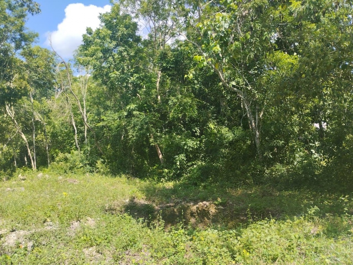 Venta Terreno / Lote Felipe Carrillo Puerto - Quintana Roo