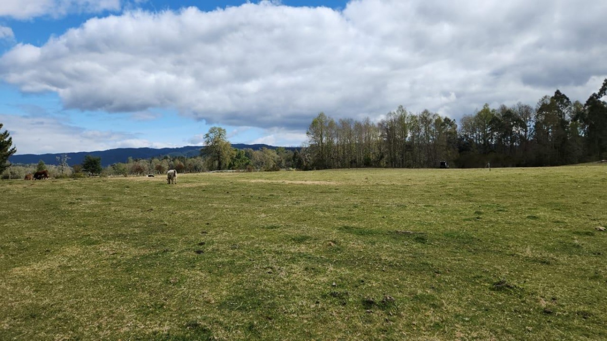 Venta Parcela Valdivia - Los Ríos