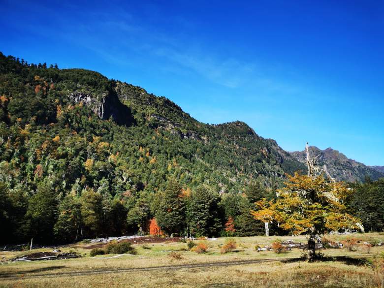 Venta Terreno Pucón - La Araucanía