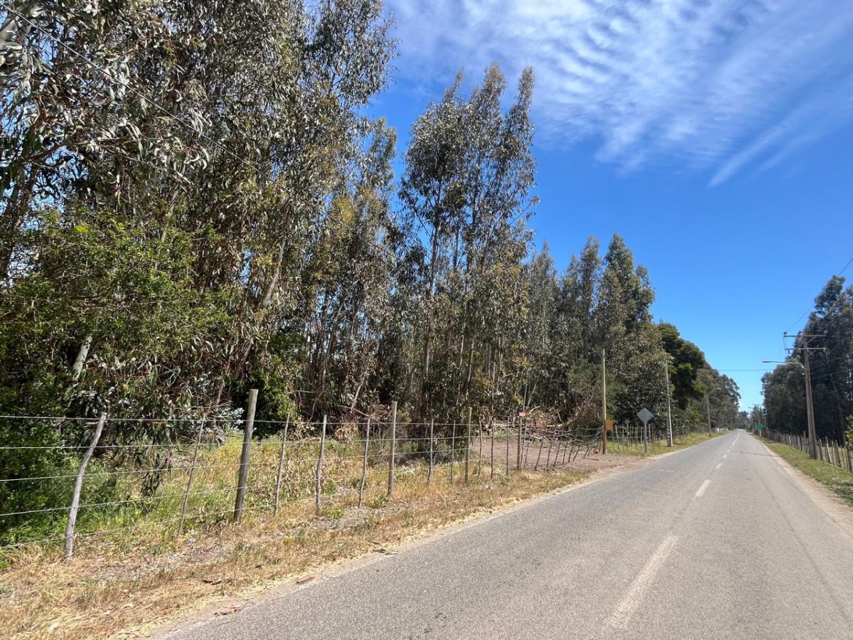 Venta Terreno Santo Domingo - Valparaíso