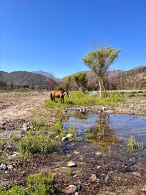 Venta Terreno Monte patria - Coquimbo