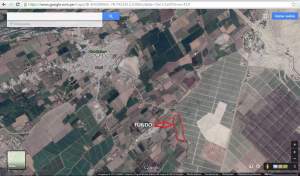Venta Agrícola El bosque - Región Metropolitana