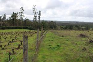 Venta Agrícola Tomé - Biobío