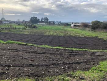 Venta Terreno San Pedro de la Paz - Biobío