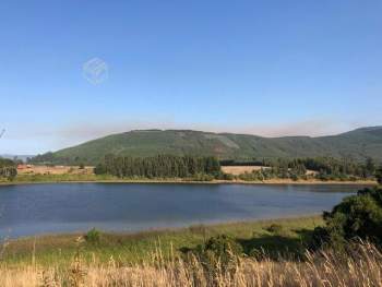 Venta Sitio Cañete - Biobío